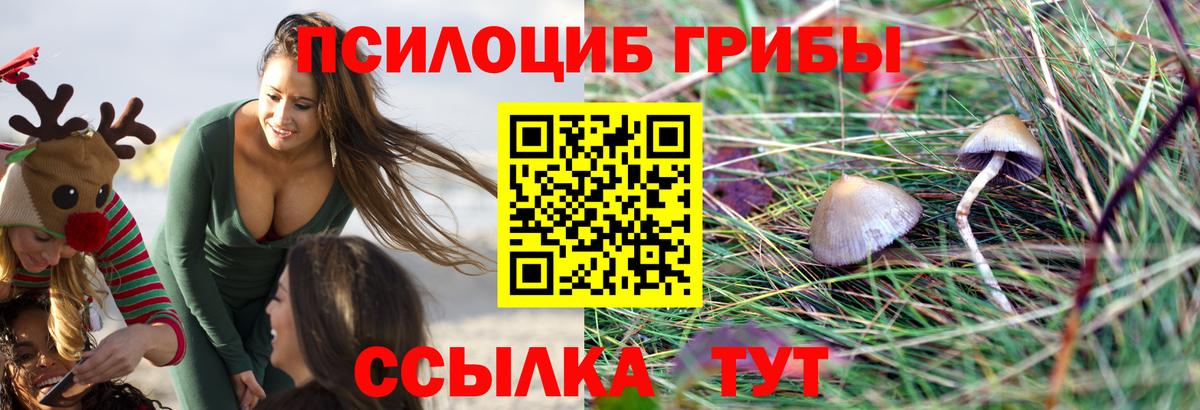 Галлюциногенные грибы GOLDEN TEACHER Сызрань